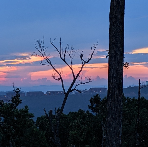 Meet your Posher, Melaney - Picture 3 of 5